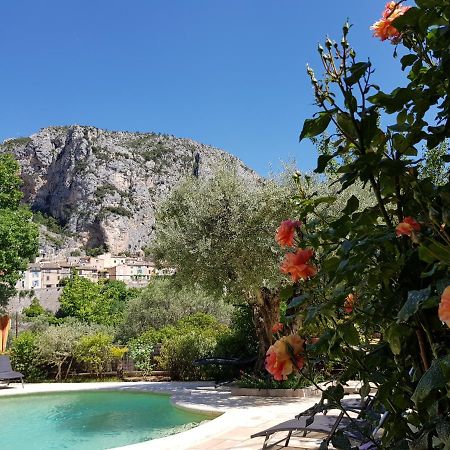 Bastide Des Oliviers Bed and Breakfast Moustiers-Sainte-Marie Εξωτερικό φωτογραφία