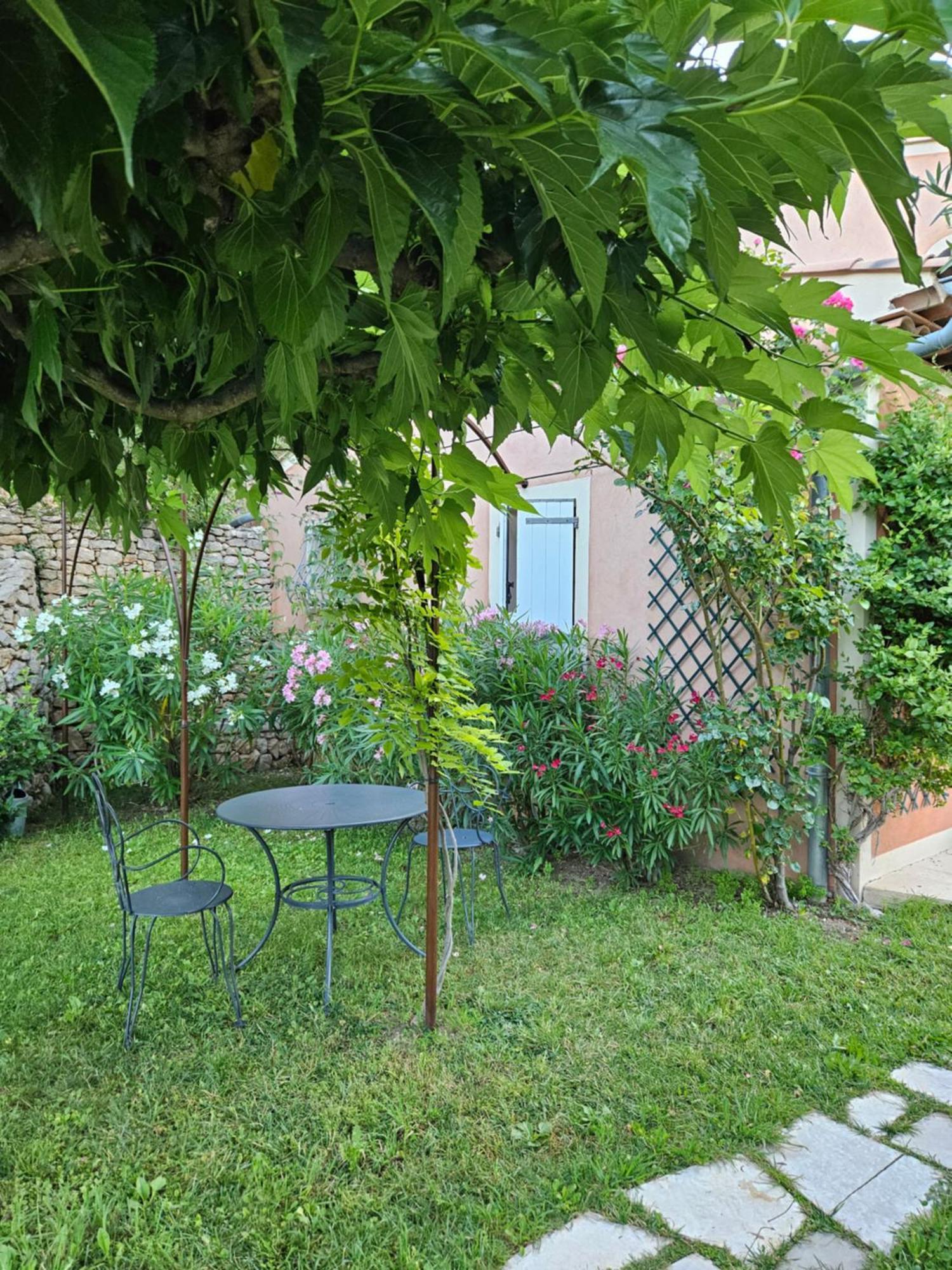 Bastide Des Oliviers Bed and Breakfast Moustiers-Sainte-Marie Εξωτερικό φωτογραφία